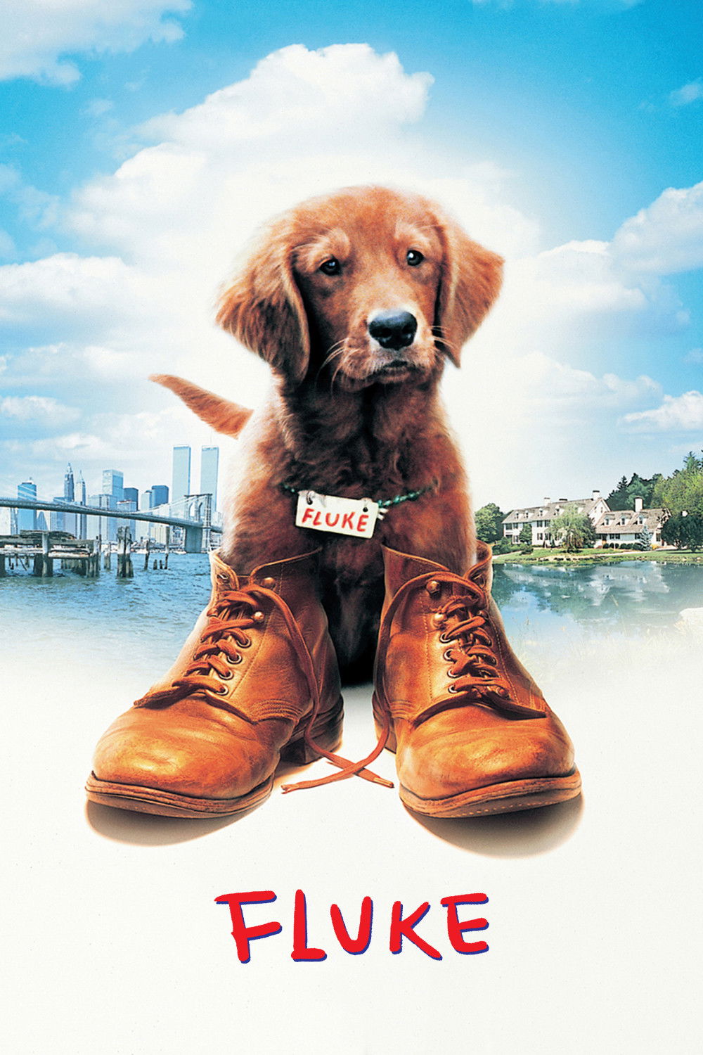 Fluke (1995) film poster